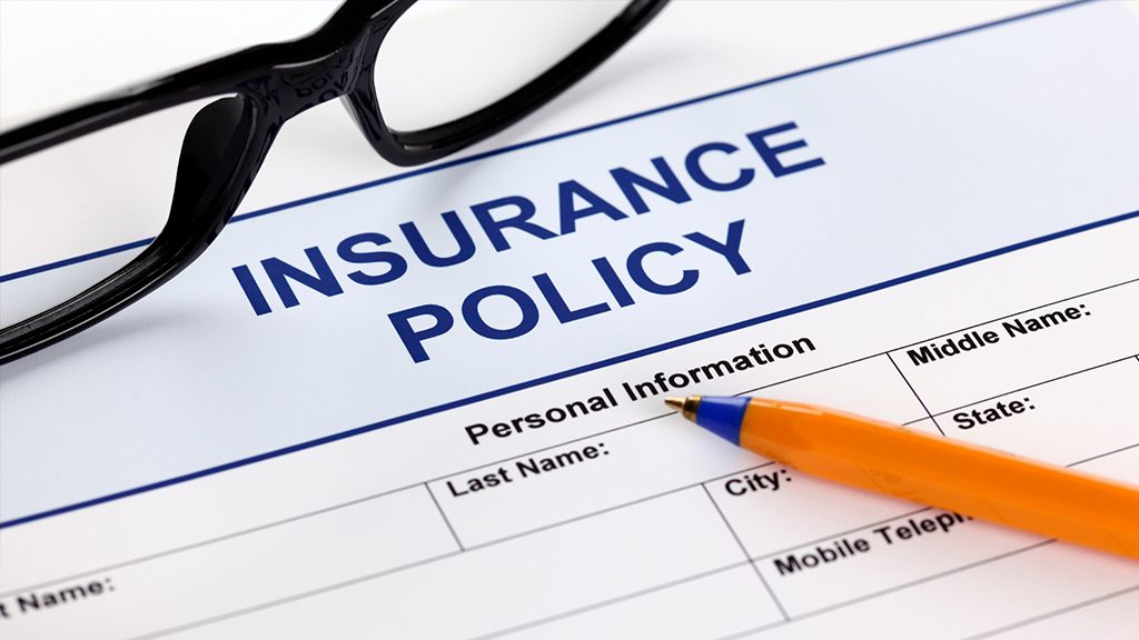 Insurance Samadhan Mint Coverage