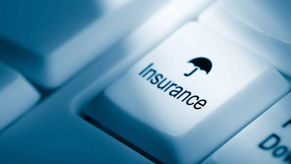 Insurance Samadhan Mint Coverage